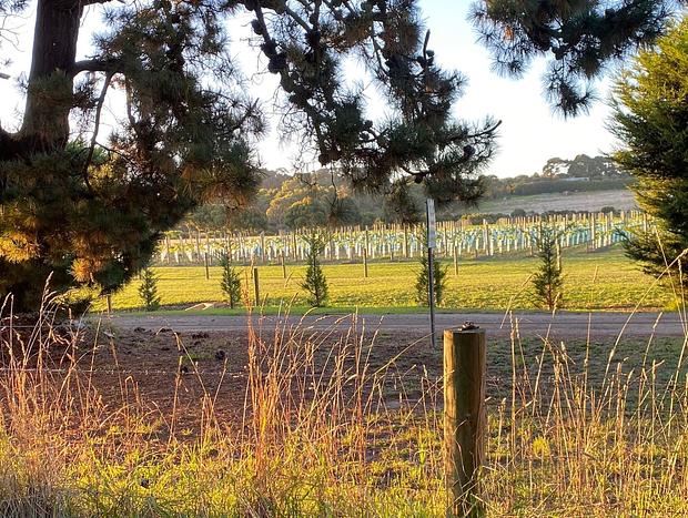 Photo 35 for Elsewhere Red Hill - on 10 acres - 6 mins to beach