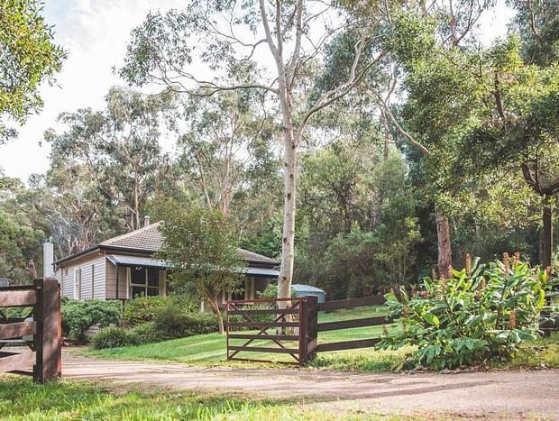 Photo 20 for Elsewhere Red Hill - on 10 acres - 6 mins to beach