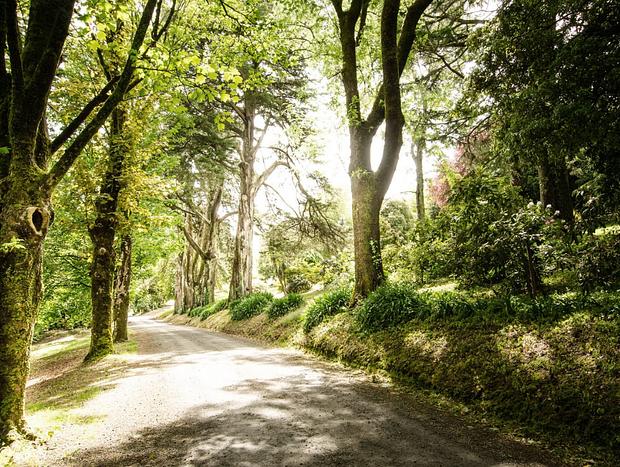 Photo 4 for Wombat Hill Botanic Gardens