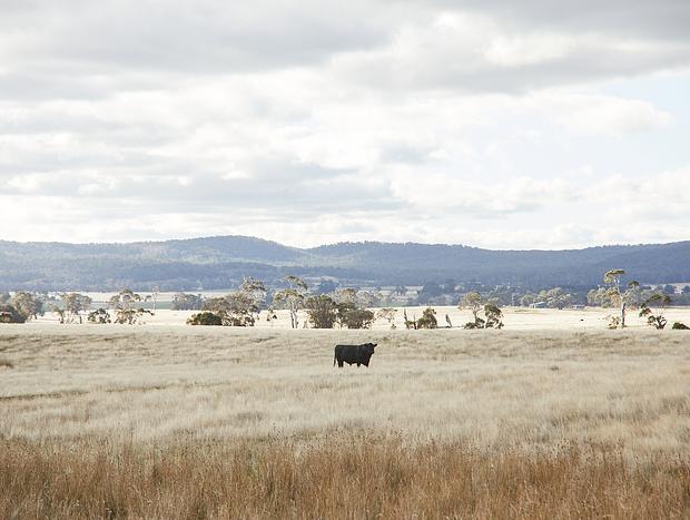 Photo 7 for Away at Fellcroft Farmstay