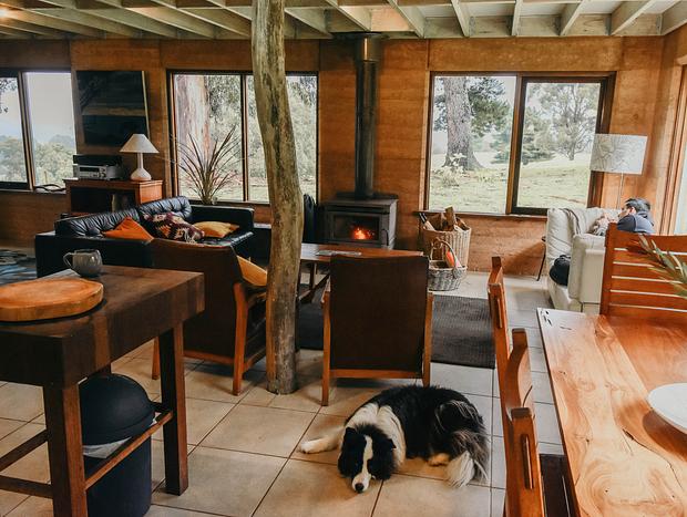 Photo 9 for Cosy and Wild