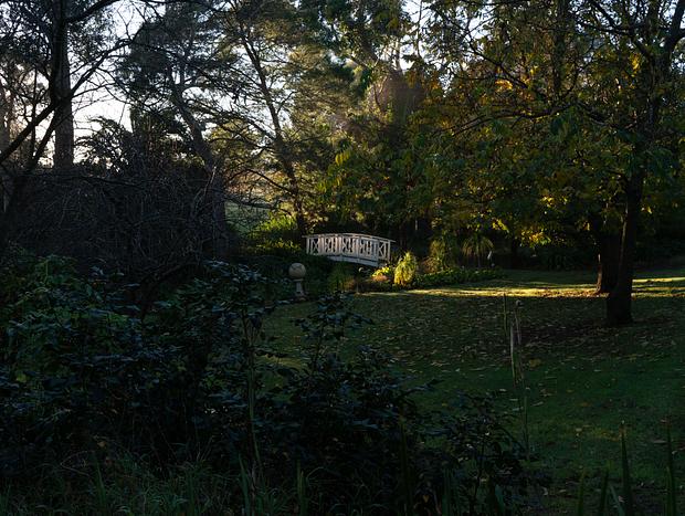 Photo 13 for Vineyard Cottage near Seaside Town