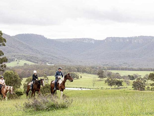 Photo 3 for Horse Riding