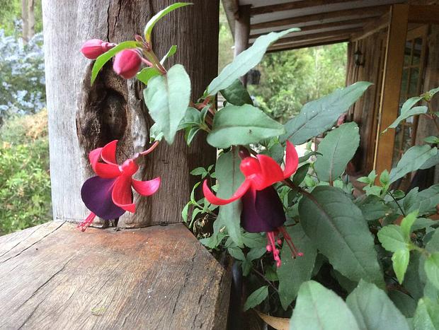 Photo 18 for Cranky Rock Cottage - Wollombi