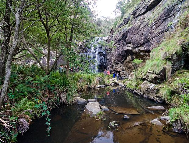Photo 1 for Sheoak Falls