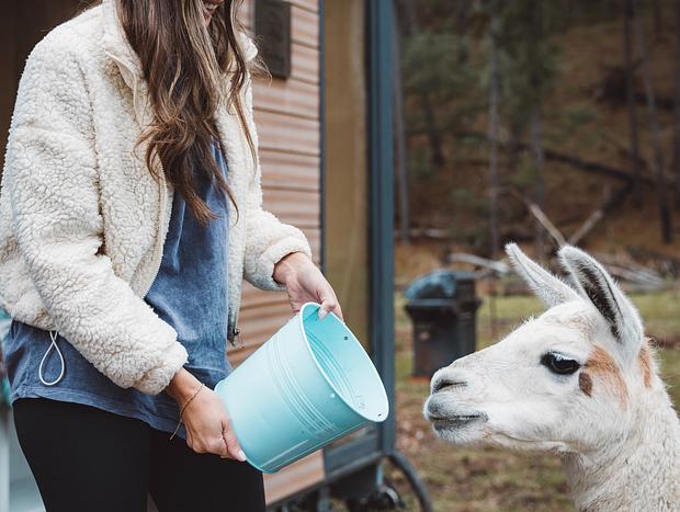 Photo 11 for Alpaca Tiny House with Vineyard Lakeside