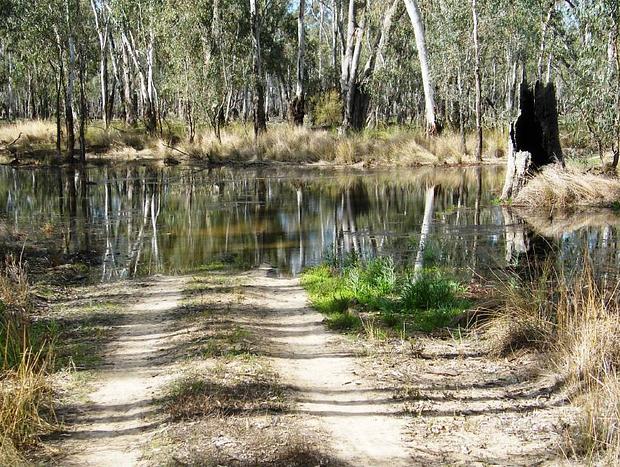 Photo 3 for Gunbower National Park