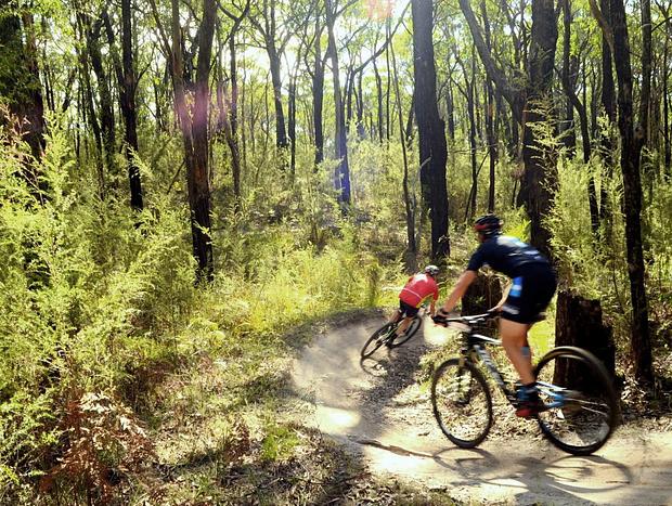 Photo 2 for Mountain Bike Trails