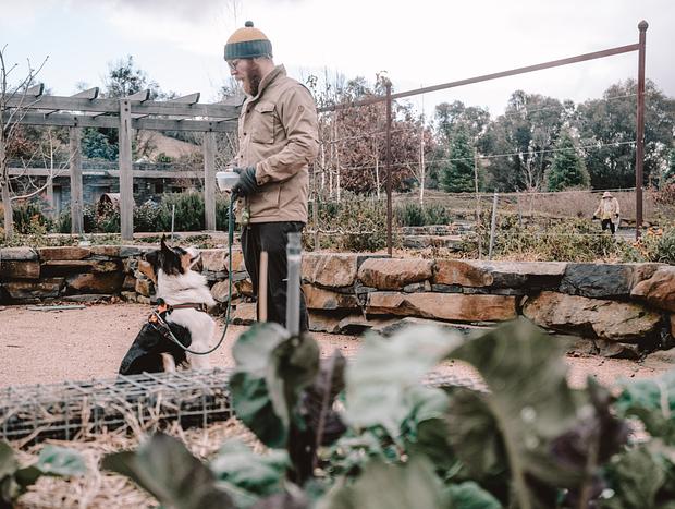 Photo 4 for Mayfield Garden