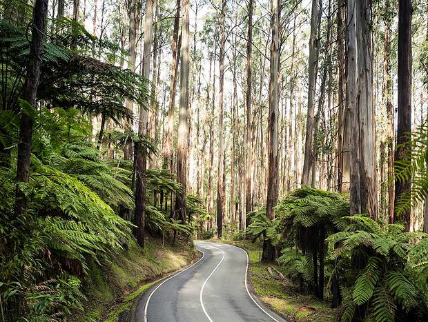 Photo 4 for The Black Spur
