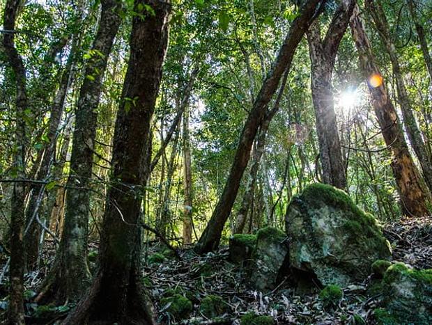 Photo 1 for Copeland Tops State Conservation Area