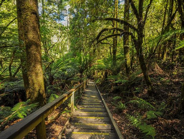 Great Otway National Park