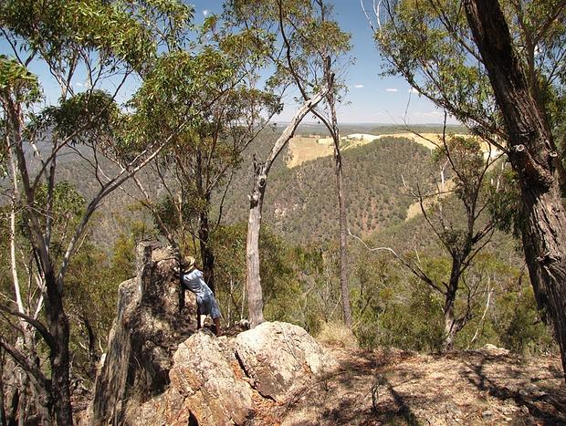 Photo 2 for Long Point Lookout