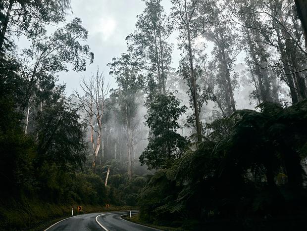Photo 6 for Warmth in Warburton