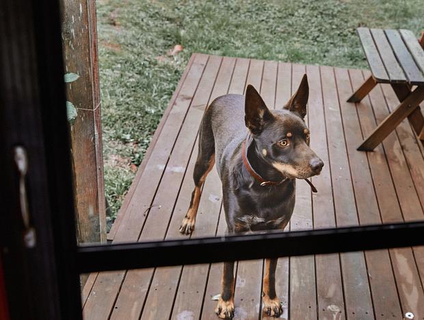 Photo 8 for Warmth in Warburton