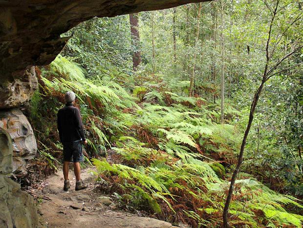 Photo 2 for Dharug National Park