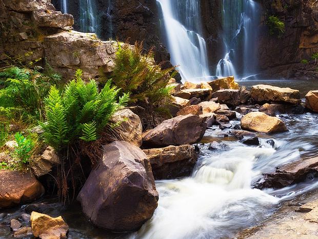 Silverband Fall