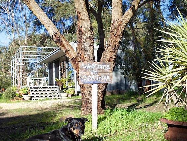Photo 9 for Carinya Eco Winery Cabin