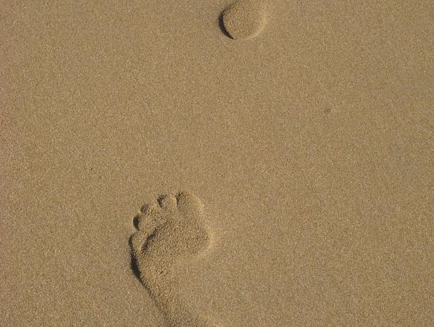 Photo 13 for Seagrass