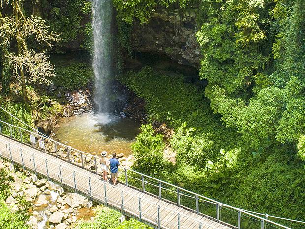 Photo 3 for Dorrigo National Park