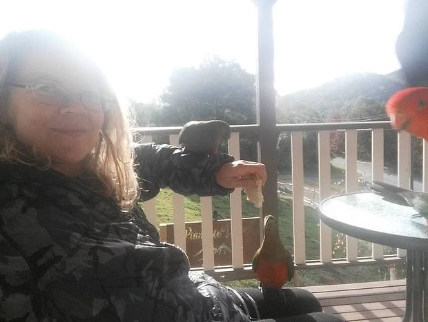 Photo 17 for Pinnacle View Lodge - Beautiful Dutch Barn style house in Merrijig, base of Mt Buller