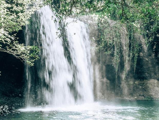 Photo 3 for Minyon Falls