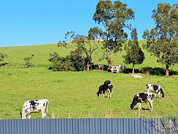 Photo 20 for Maids Quarters - Coragulac House Cottages