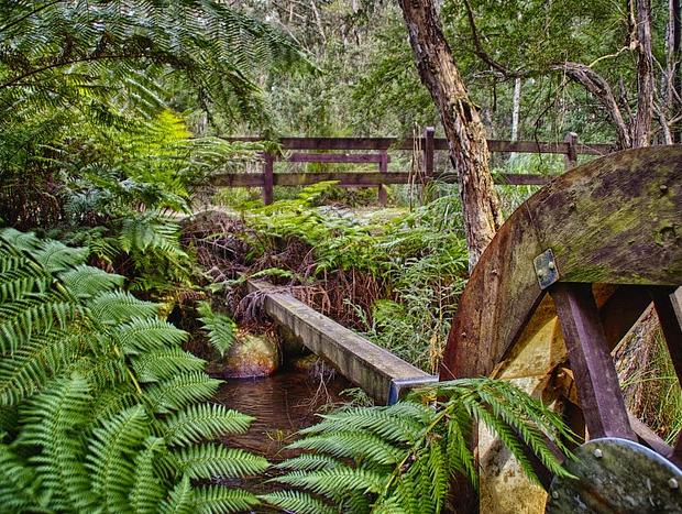 Photo 1 for Kirth Kiln Regional Park