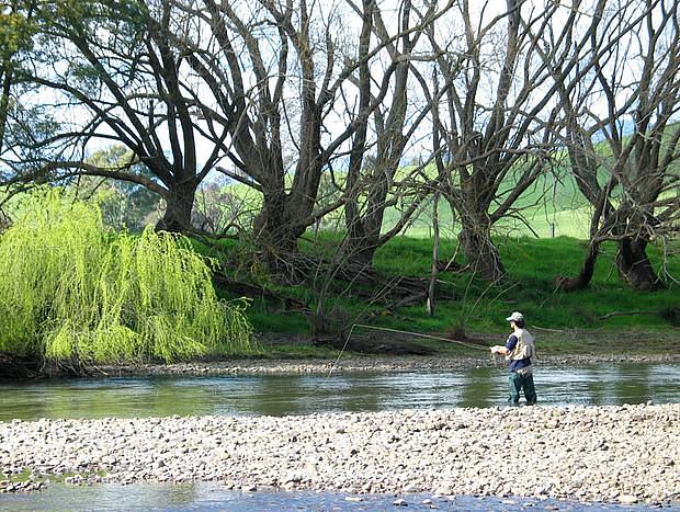 Photo 2 for Goulburn River Fishing
