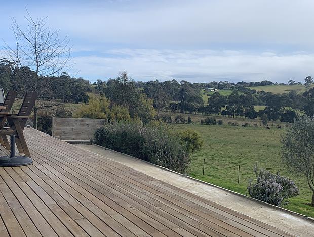 Photo 31 for Citrus Grove: private/architectural/dog-friendly/views/acreage