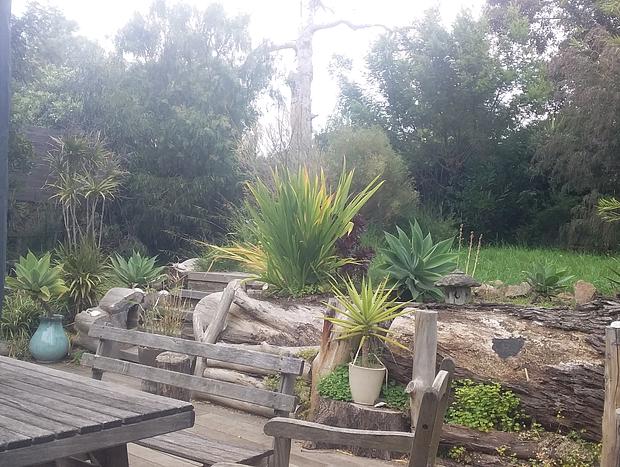 Photo 11 for Rustic Beach Retreat