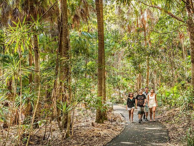 Photo 2 for Cape Byron Walking Track
