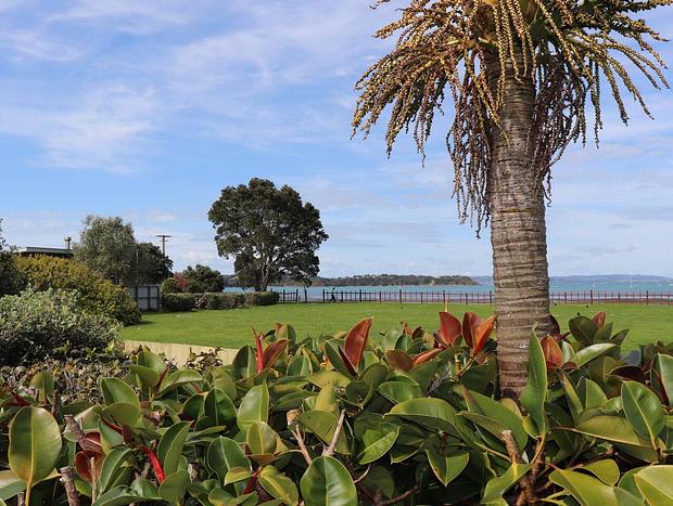 Photo 20 for Flamingo Cottage Waiheke