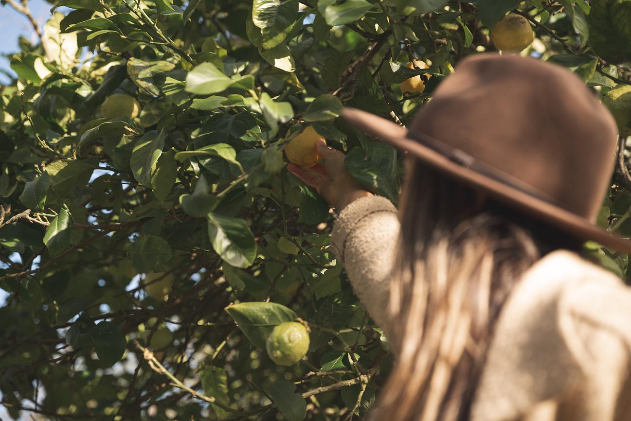 Exploring The Farm Riparide