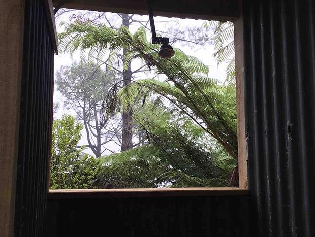 Photo 10 for Ponga Iti Bush Cabin