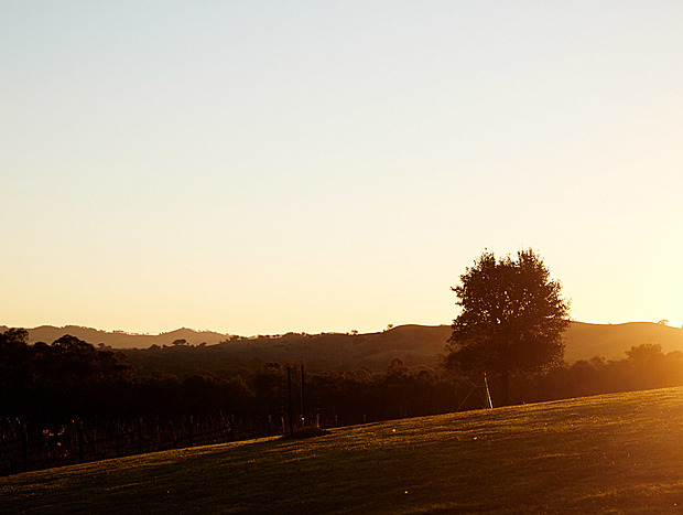 Photo 25 for Alpine Adventures