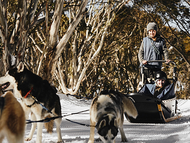 Photo 19 for Alpine Adventures