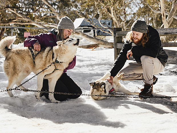 Photo 18 for Alpine Adventures