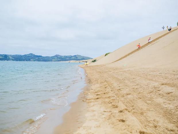 Dune Surfing