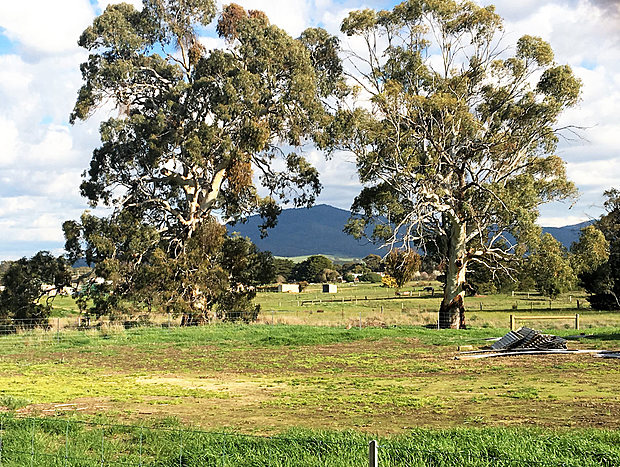 Photo 8 for Rustic Wool Shed - fresh country air - peace and quiet