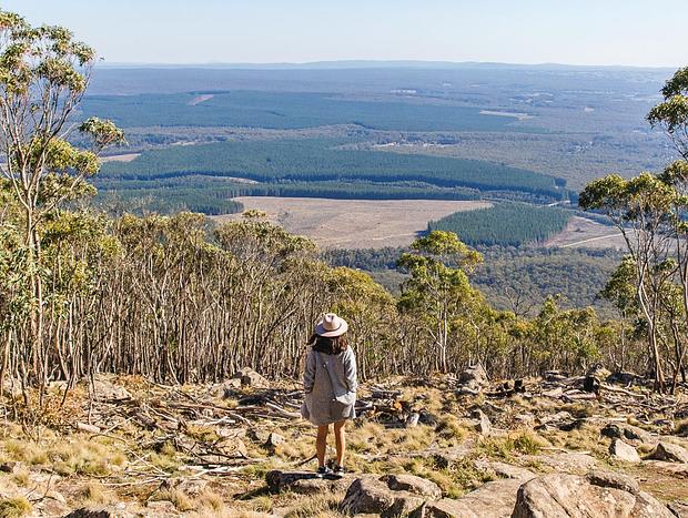 Photo 5 for Mount Macedon and Hanging Rock