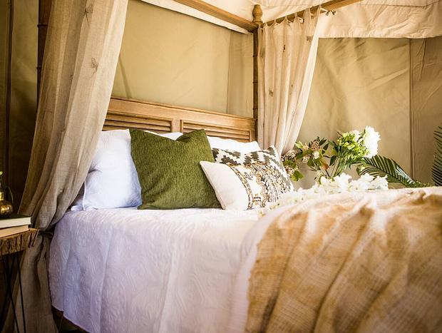 Photo 8 for Orchard Valley - Waitomo Boutique Glamping