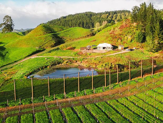 Photo 4 for Orchard Valley - Waitomo Boutique Glamping