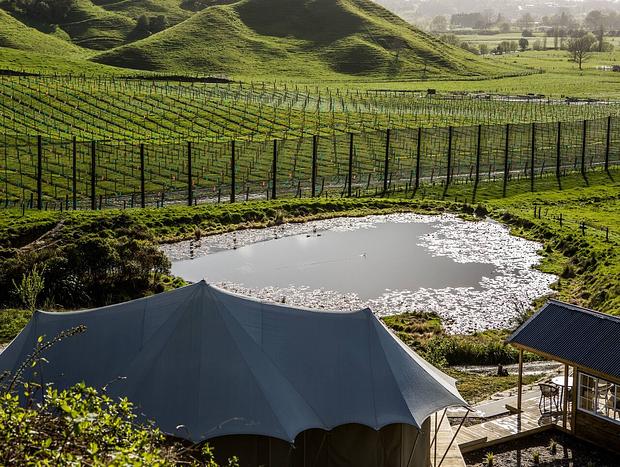 Photo 14 for Orchard Valley - Waitomo Boutique Glamping