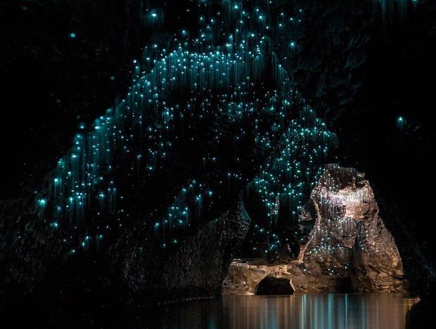 Photo 1 for Waitomo Caves