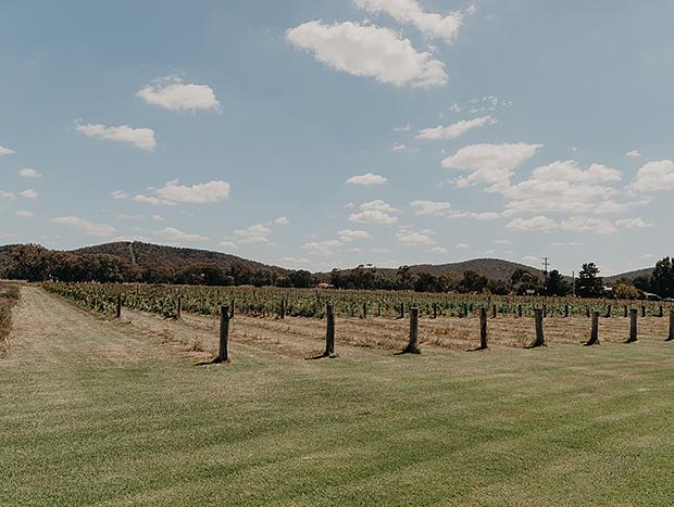 Photo 7 for drovers - Bespoke Vineyard Accommodation