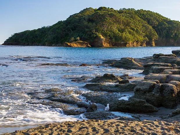 Photo 2 for Goat Island