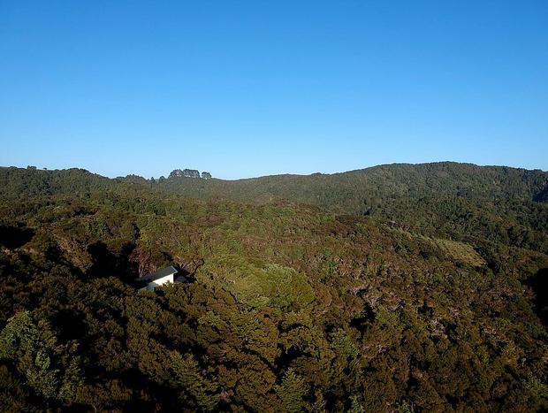 Photo 16 for Waiotoi - The Bush Hideaway - Tutukaka