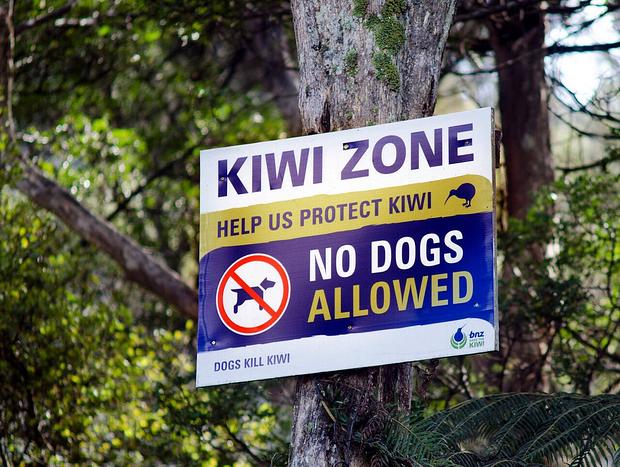 Photo 21 for Waiotoi - The Bush Hideaway - Tutukaka