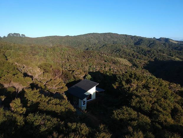 Photo 22 for Waiotoi - The Bush Hideaway - Tutukaka